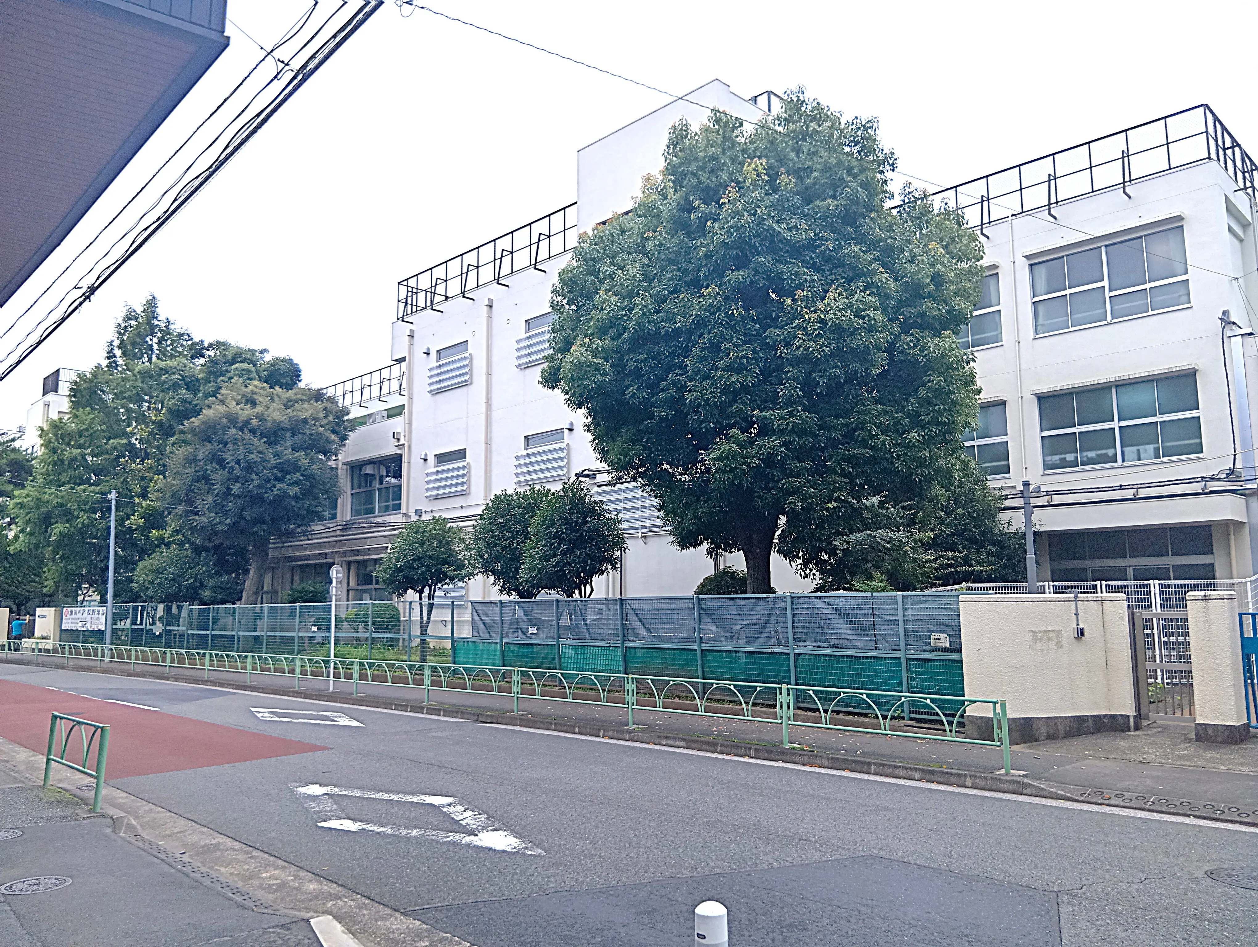 公の場での発言・インタビュー報道記録