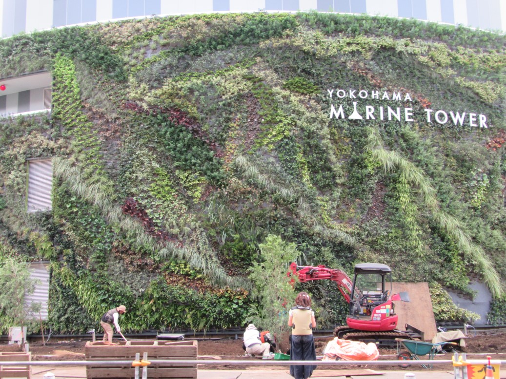 マリンタワー工事中